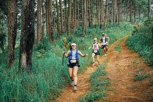 BIB: 
                            <button type="button" onclick="openModal(25674611)" class="btn btn-primary btn-sm float-right btn-popup" data-toggle="modal" data-target=".modal-high-quality">
                        <i class="fas fa-shopping-cart"></i> Add to Cart
                    </button>
                                            <button type="button" onclick="isThisMe(25674611, true)" class="btn btn-success btn-sm float-right btn-popup btn-isme hidden" data-toggle="tooltip" data-placement="bottom" title="นี่คือรูปของคุณใช่ไหม คลิกที่นี่เพื่อเอาเข้าอัลบั้ม">
                        <i class="fas fa-plus"></i> Add to album
                    </button>
                    <button type="button" onclick="isThisMe(25674611, false)" class="btn btn-warning btn-sm float-right btn-popup btn-isnotme hidden">
                        <i class="fas fa-ban"></i> Remove from album
                    </button>